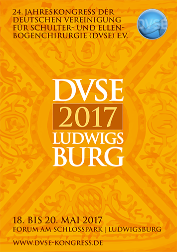DVSE 2017 Hauptprogramm