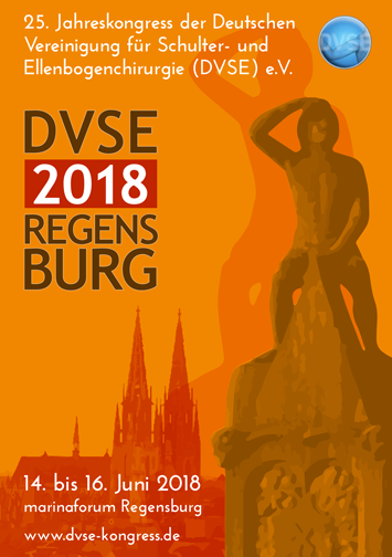 DVSE 2018 Programm